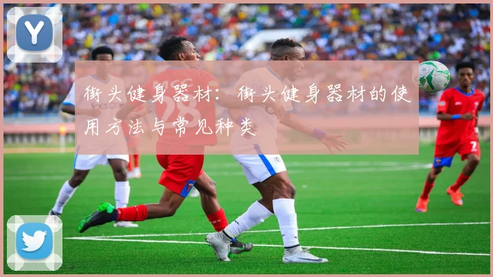 街头健身器材:街头健身器材的使用方法与常见种类