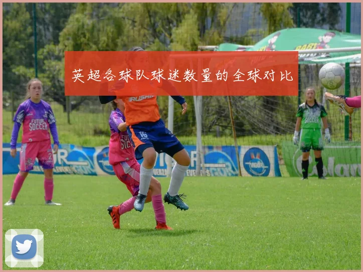 英超各球队球迷数量的全球对比