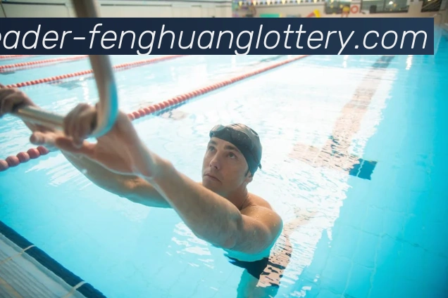 凤凰彩票官方网站平台生态图